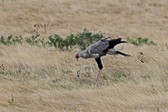 Enlarge photo 148