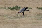 Enlarge photo 151