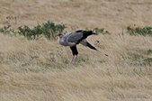 Enlarge photo 152