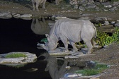 Enlarge photo 158