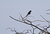 Enlarge photo 166