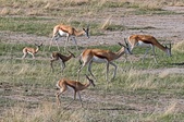 Enlarge photo 174