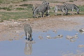 Enlarge photo 179