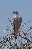 Enlarge photo 180