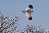 Enlarge photo 181