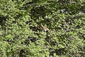 Enlarge photo 202