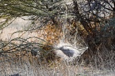 Enlarge photo 206