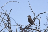 Enlarge photo 208