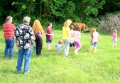 Enlarge photo 12