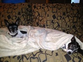 AUTUMN HAS A NEW LOVING FAMILY!!!