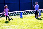 Enlarge photo 15