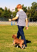 Enlarge photo 8