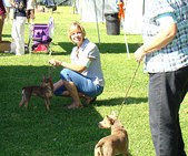 Enlarge photo 34