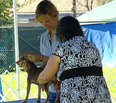 Enlarge photo 32