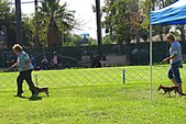 Enlarge photo 29