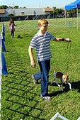 CLAREMONT DOG SHOW 