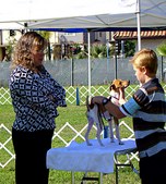 Enlarge photo 27