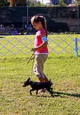 Enlarge photo 40