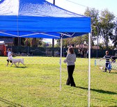 Enlarge photo 25
