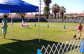 Enlarge photo 42
