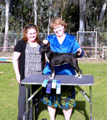 LOOMIS DOG SHOW - APRIL 28-29 2012