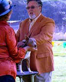 Enlarge photo 34