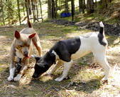 Enlarge photo 8