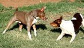 Enlarge photo 29