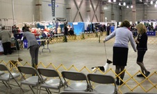 SACRAMENTO DOG SHOW