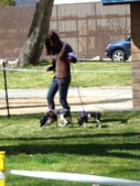 Enlarge photo 21