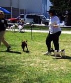 Enlarge photo 25