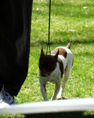 Enlarge photo 16