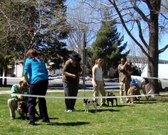 Enlarge photo 28