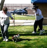 Enlarge photo 13