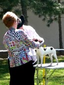 Enlarge photo 23