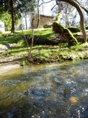 Enlarge photo 10