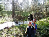 Enlarge photo 3
