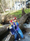 Enlarge photo 6