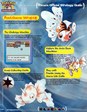 Enlarge photo 58