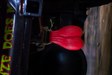 Enlarge photo 52
