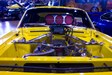 Enlarge photo 57