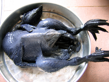 a black chicken