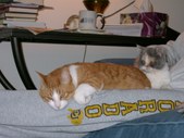 Enlarge photo 2
