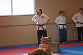 2008_july_breaking_demo