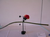Enlarge photo 54
