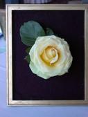 Enlarge photo 46