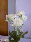 Enlarge photo 30