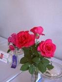 Enlarge photo 26