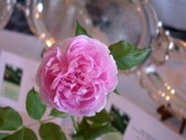 Enlarge photo 41