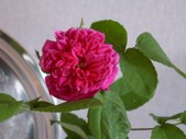 Enlarge photo 20